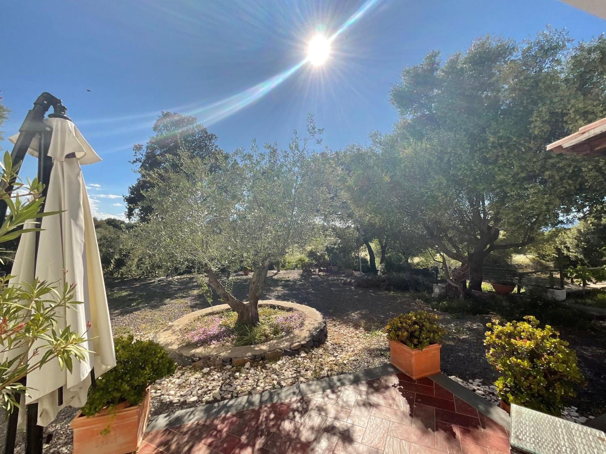 Residenza Di Campagna Dolmen Motorra Guest House Dorgali Exterior photo