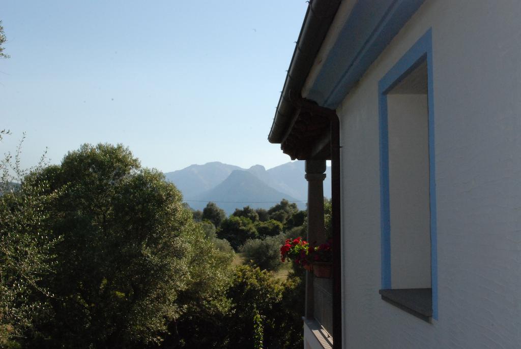 Residenza Di Campagna Dolmen Motorra Guest House Dorgali Exterior photo